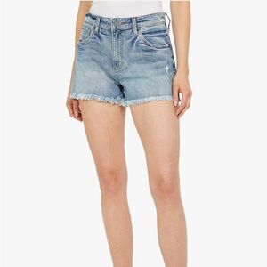 Kut from the Kloth Light Blue Distressed Jean Shorts